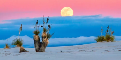 White Sand Moon